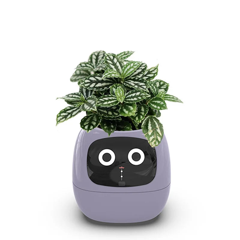 Smart AI Planter: Your Interactive Gardening Companion