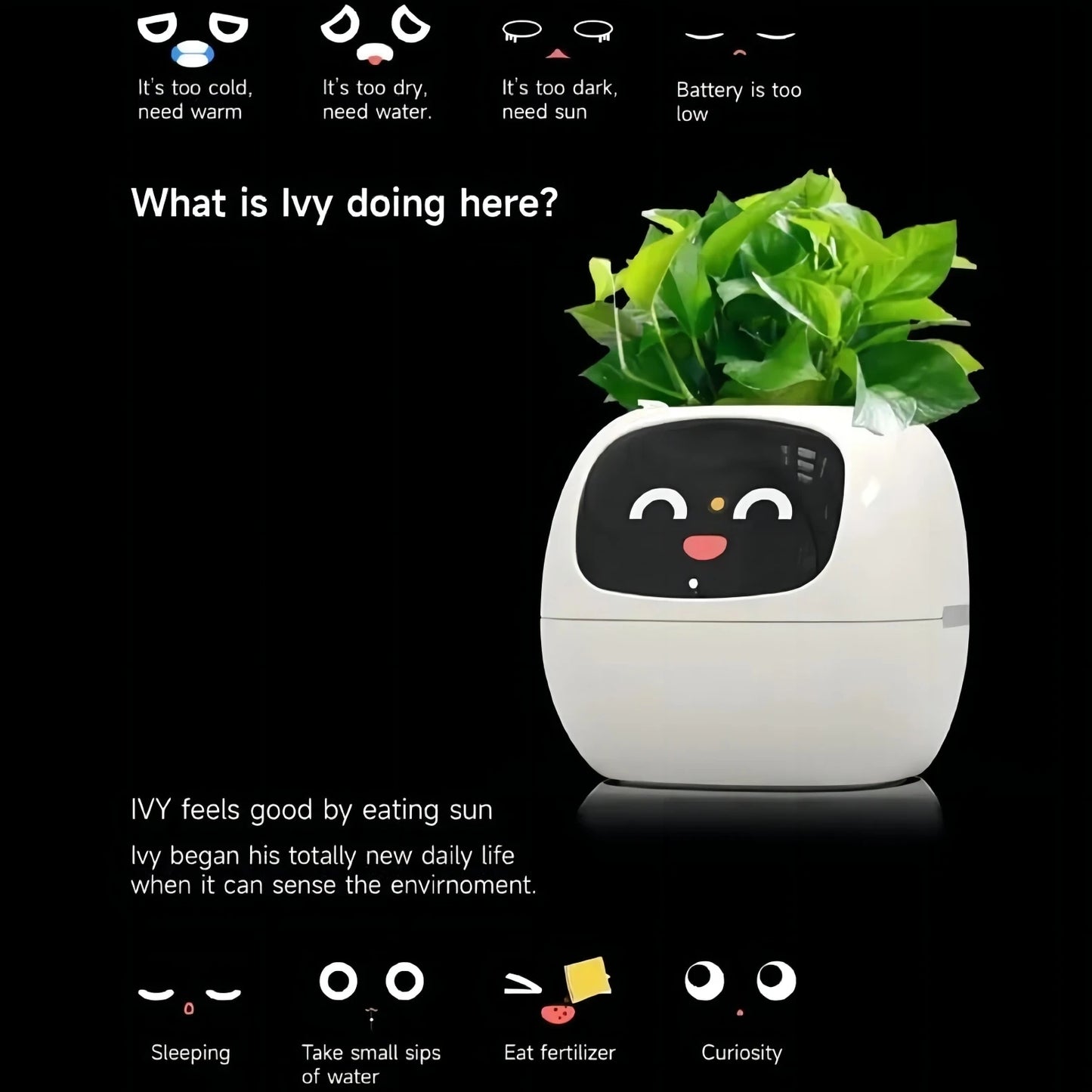 Smart AI Planter: Your Interactive Gardening Companion