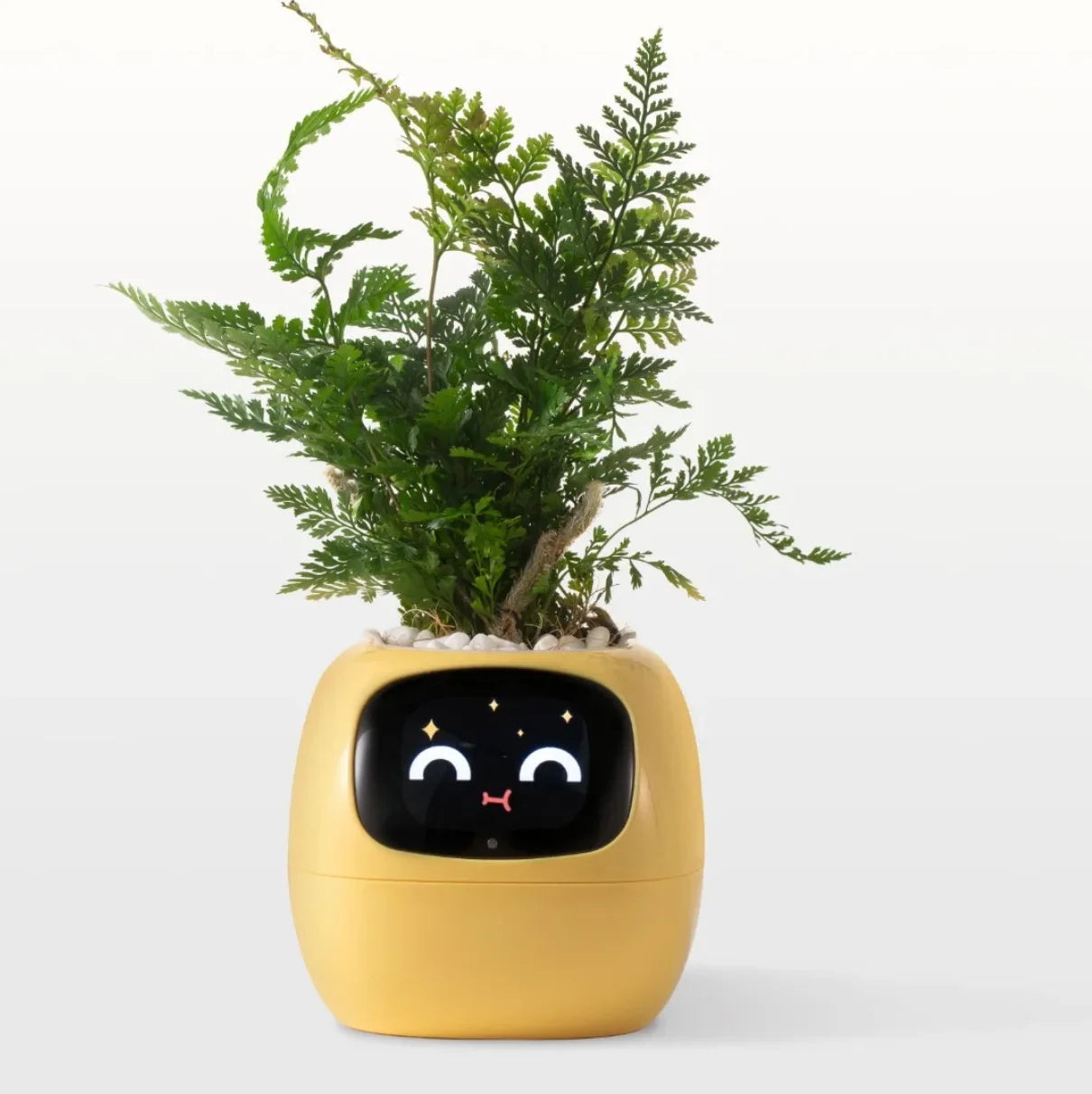 Smart AI Planter: Your Interactive Gardening Companion